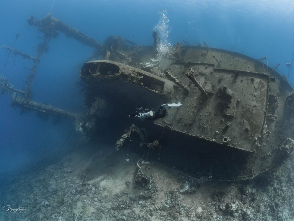 Cedar Pride Shipwreck Aqaba