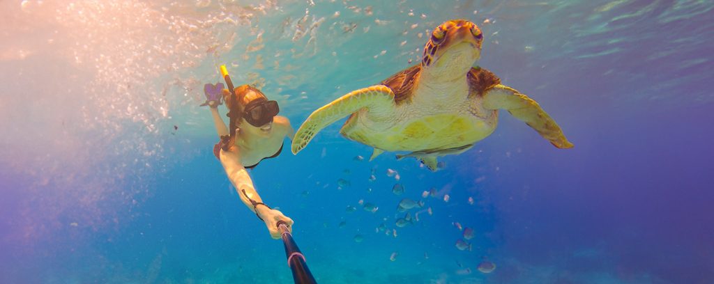 Daily Diving programs in Aqaba