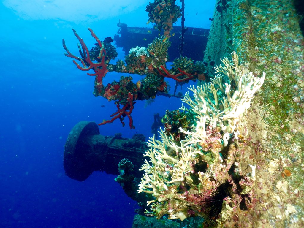 Cedar Pride shipwreck Aqaba 3, deep diver course in Aqaba