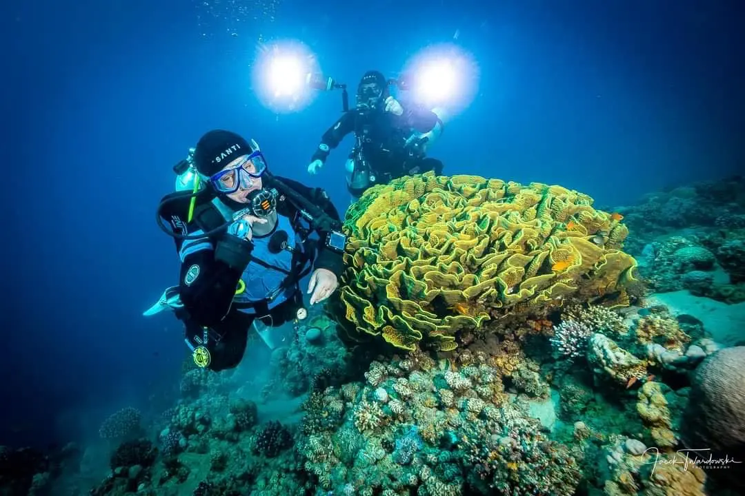 Underwater photographer capturing Aqaba marine life