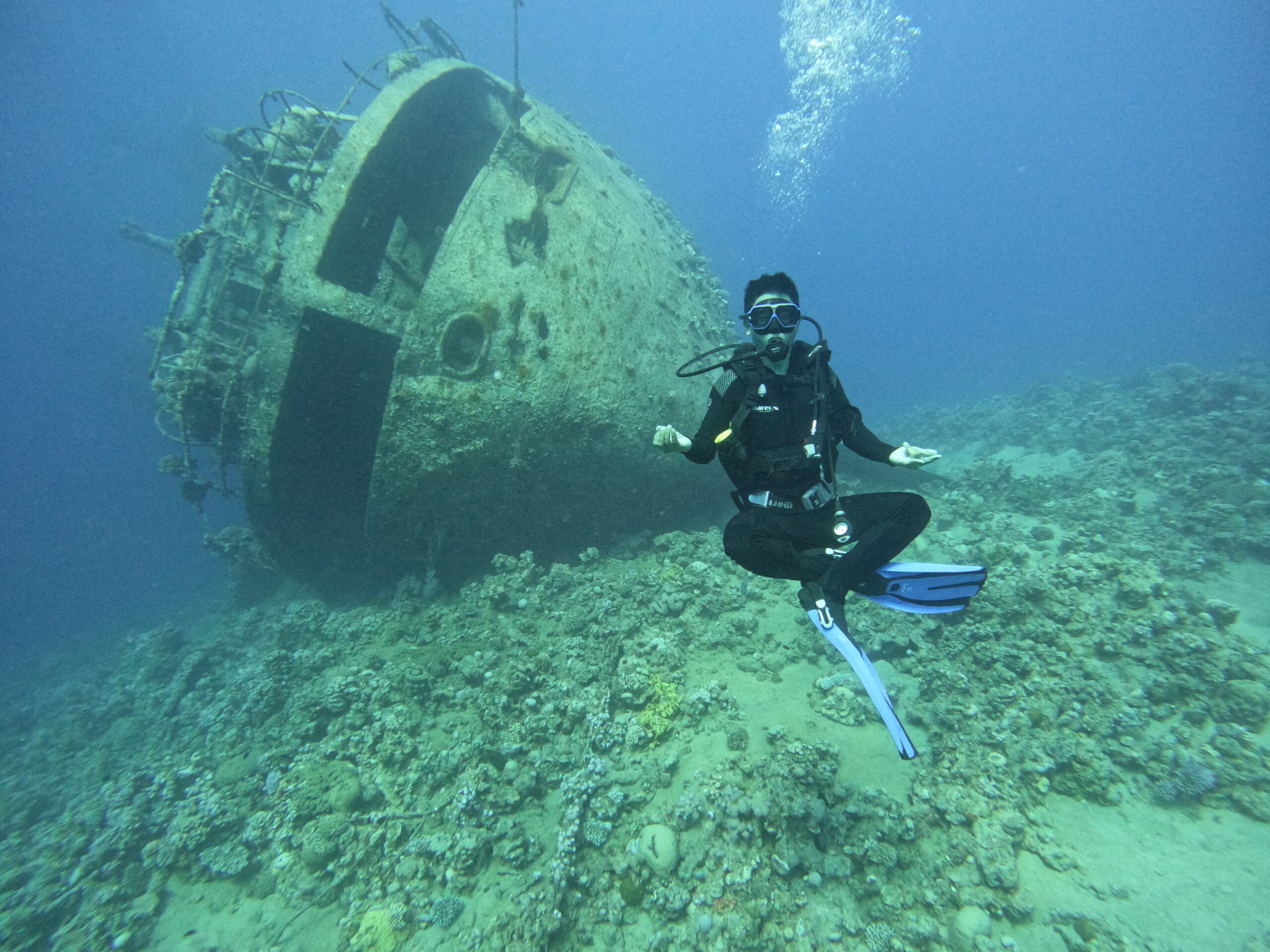 Cedar Pride wreck dive in Aqaba