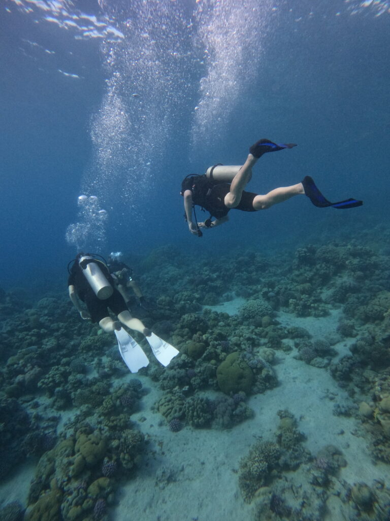 Дайвинг-туры в Иорданию