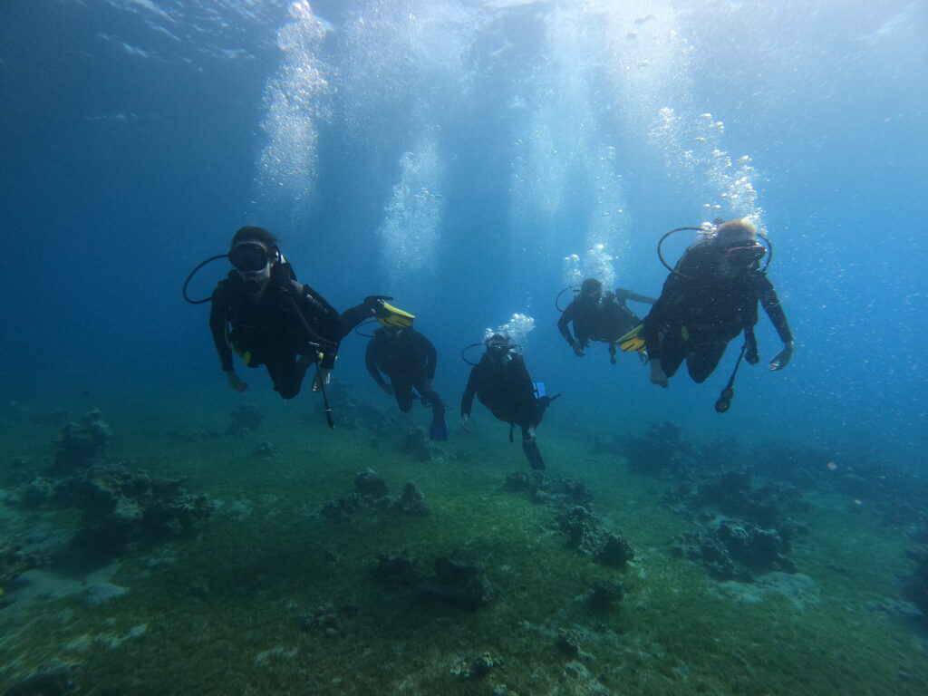 Diving in Aqaba in January
