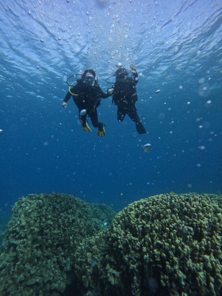 dive aqaba