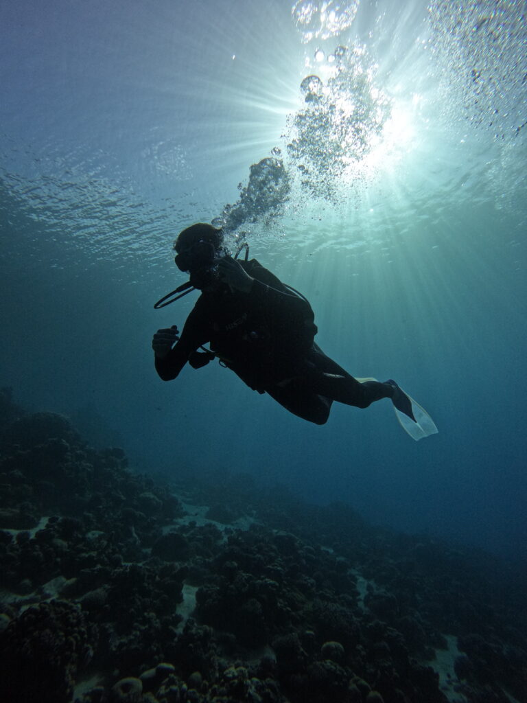 Diving in Aqaba in February