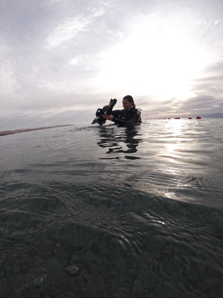 Diving in Aqaba in February