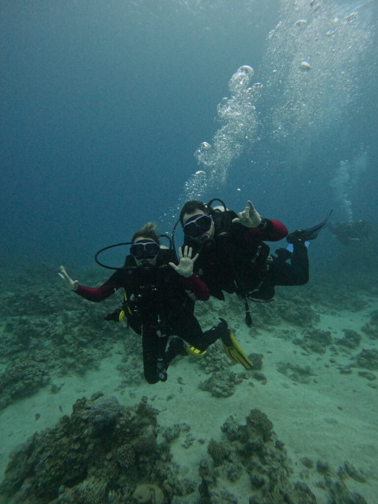 Diving in Aqaba in February