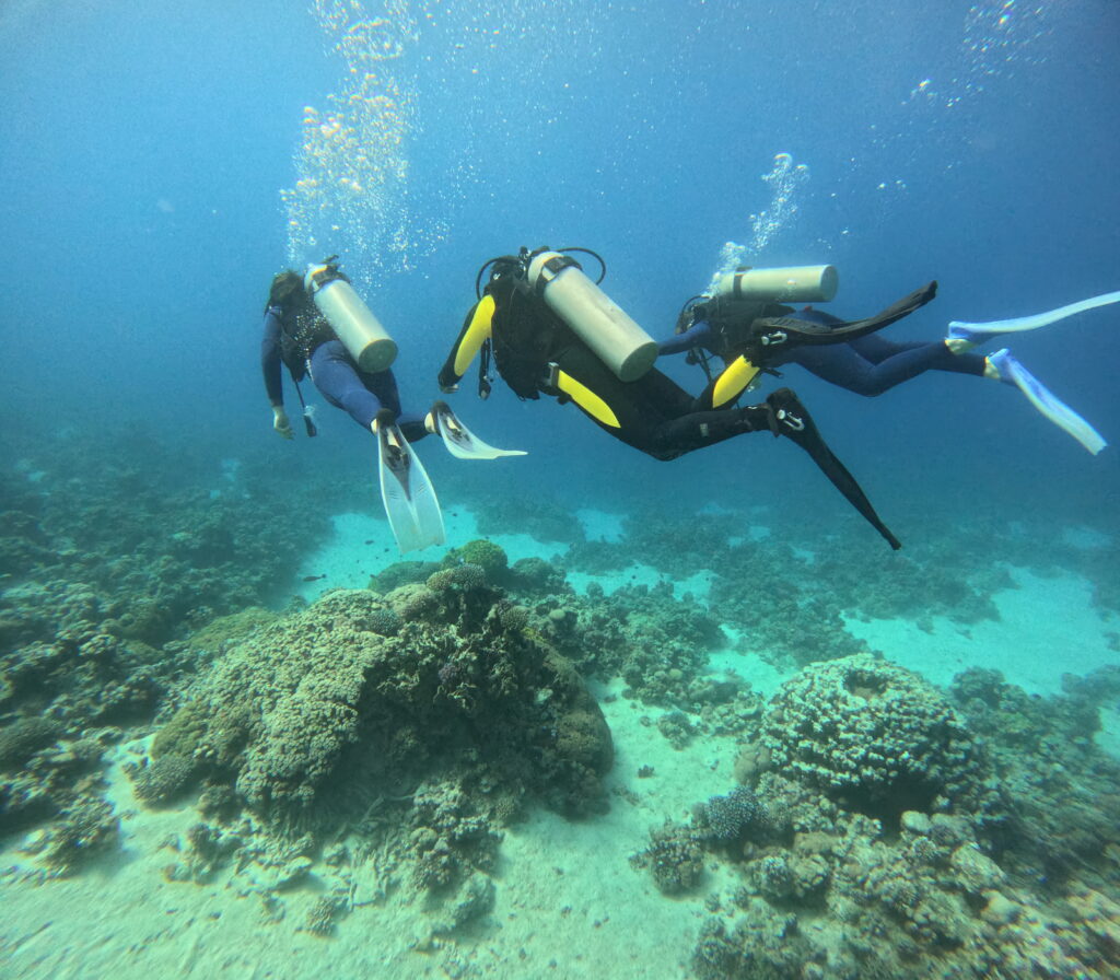 Divemaster course Aqaba