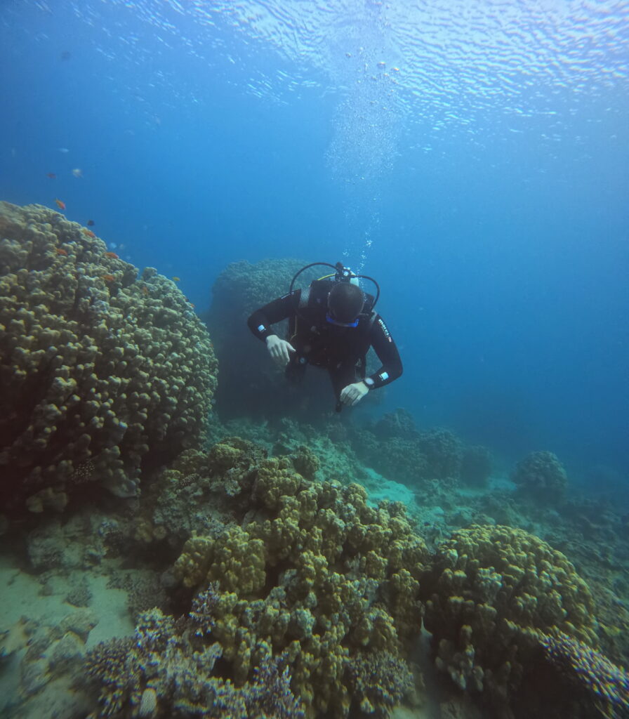 PADI course in Aqaba
