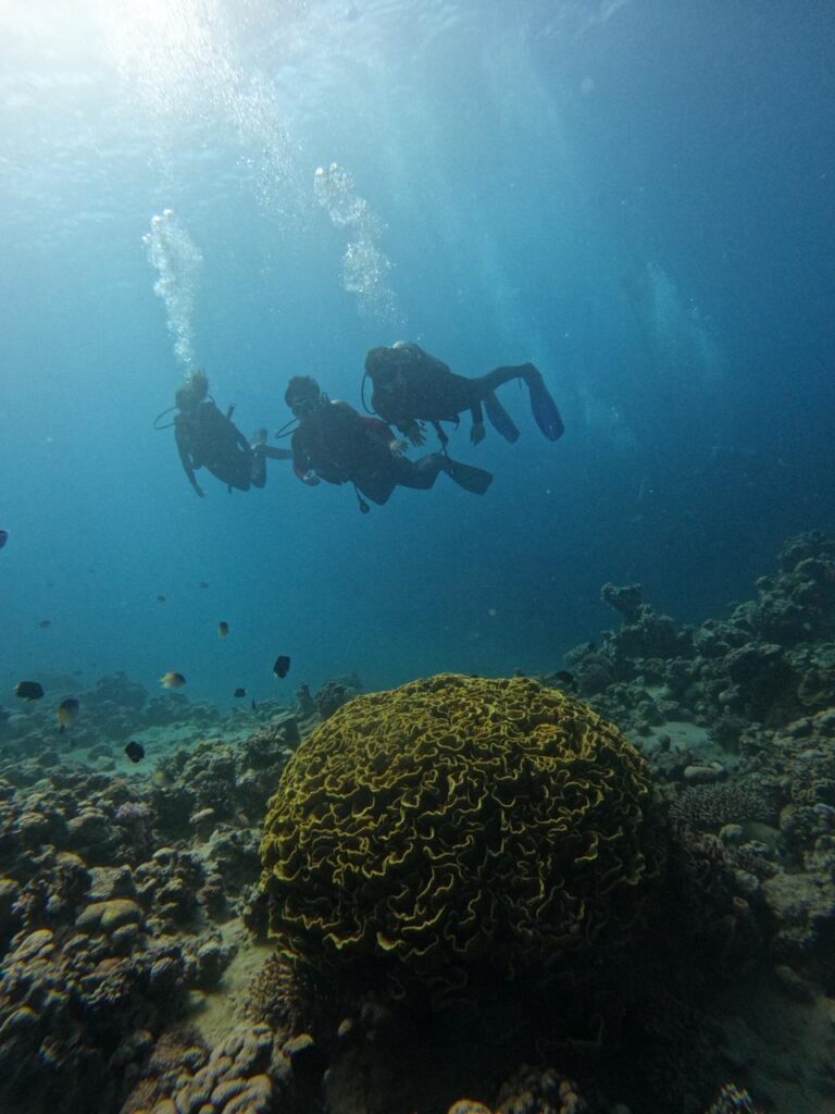 Dive in Aqaba Without Experience