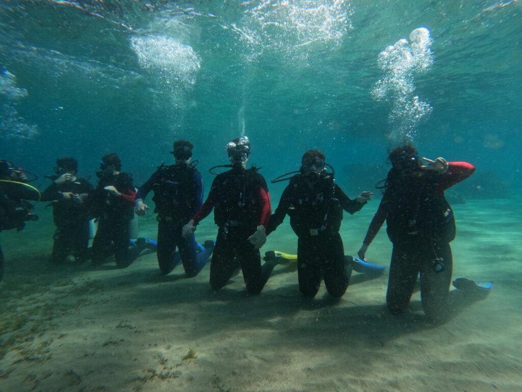Dive in Aqaba Without Experience