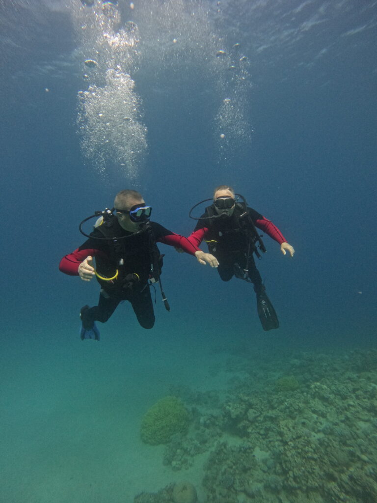 diving in aqaba prices Цены на дайвинг в Акабе