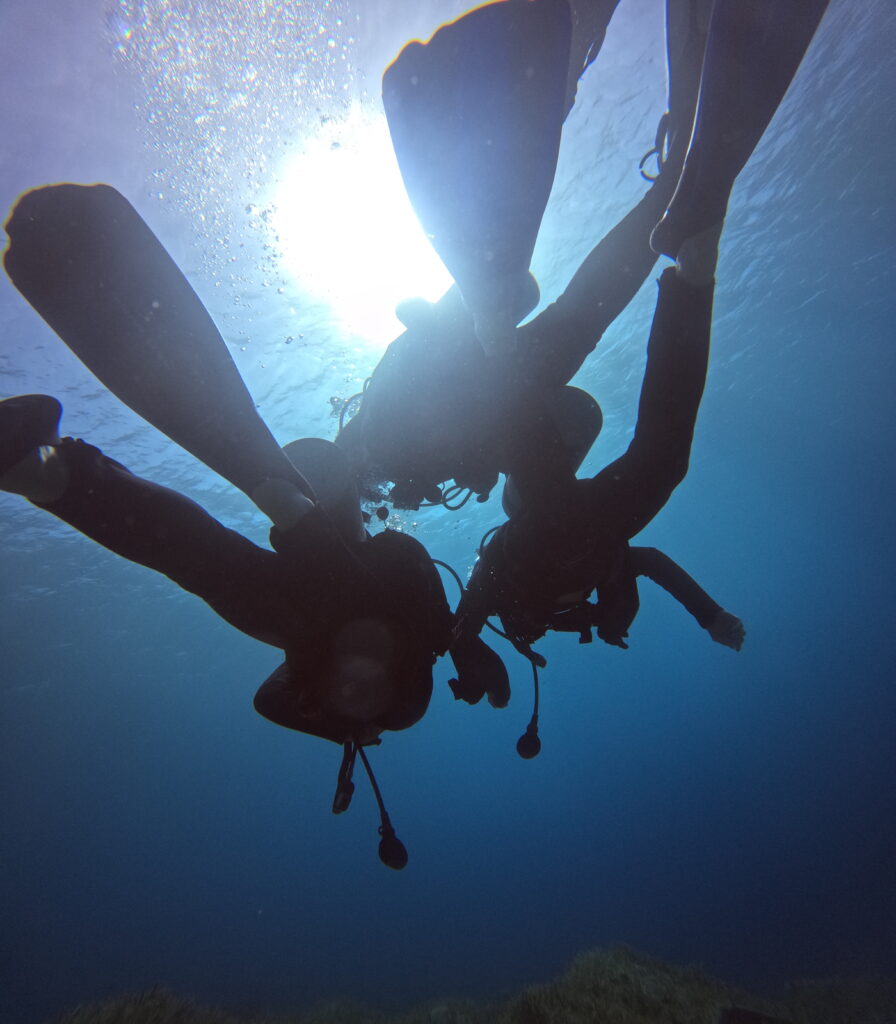 Курс PADI Open Water Diver в Акабе