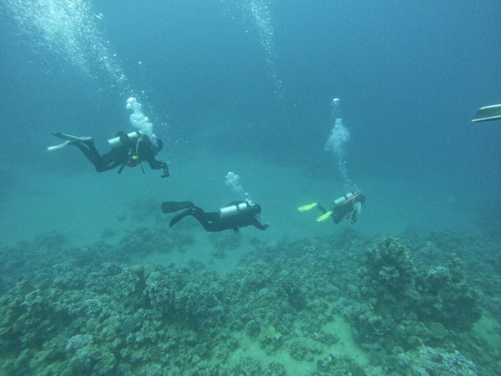 aqaba scuba diving