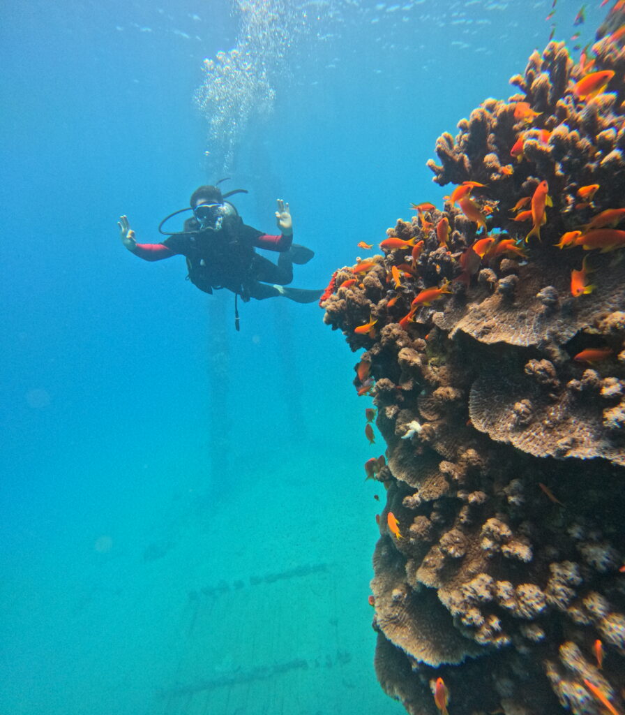 Refresher dive in Aqaba