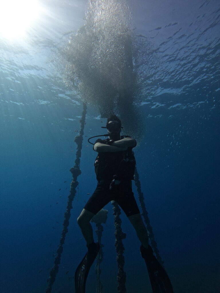 Shore vs Boat Diving in Aqaba