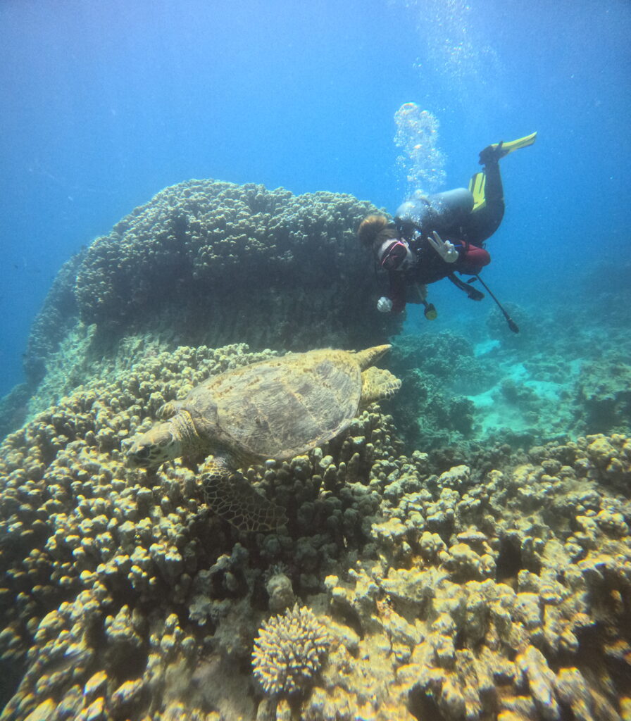 Guide to Dive in Aqaba