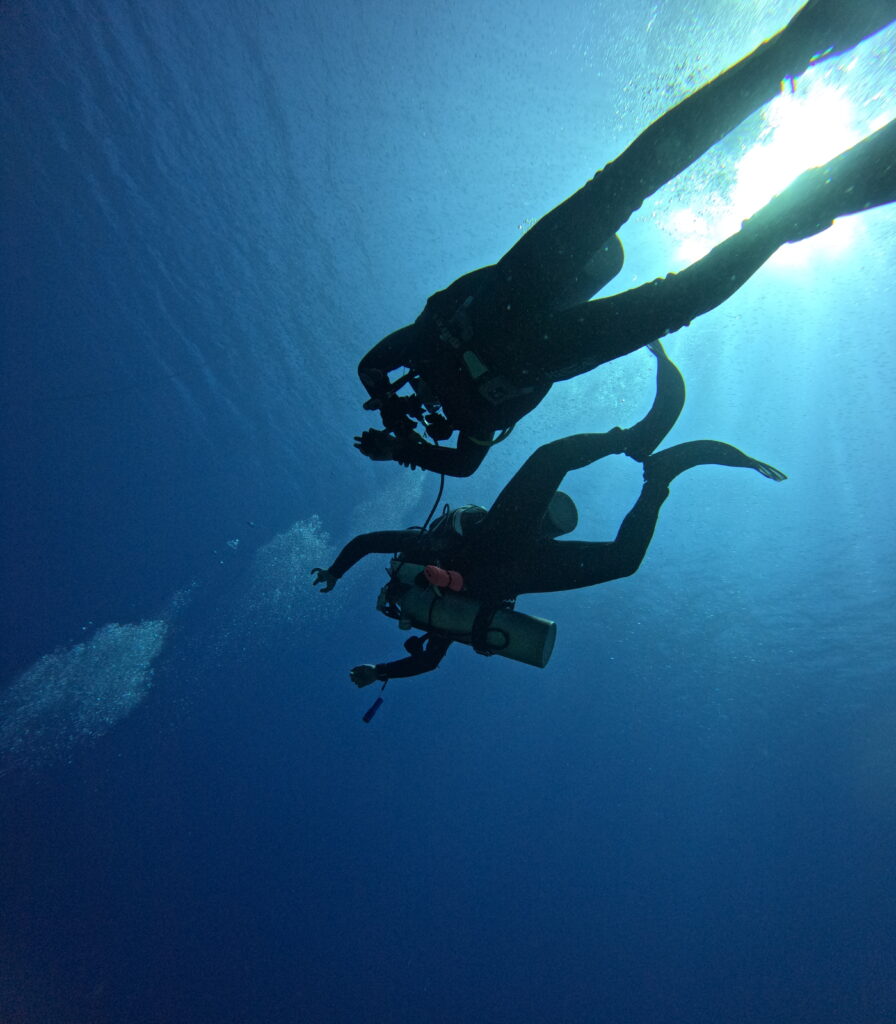 learn scuba diving aqaba