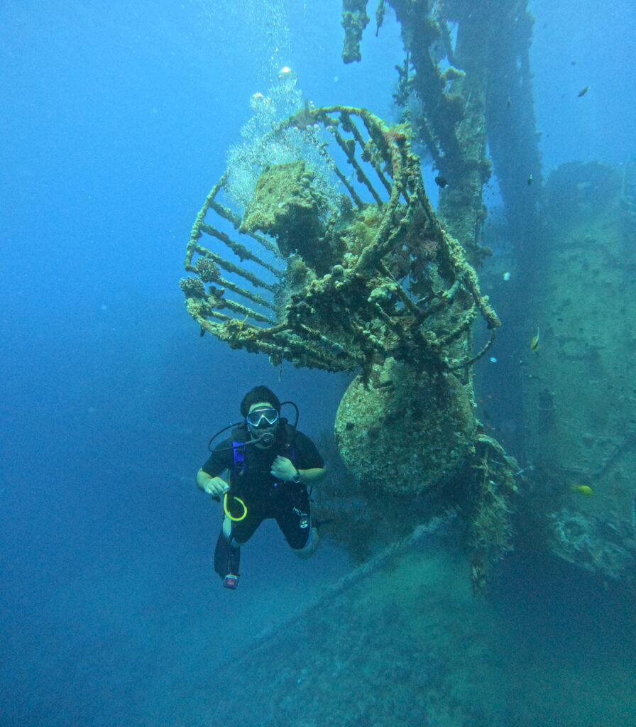 Aqaba Marine Reserve Unesco Heritage