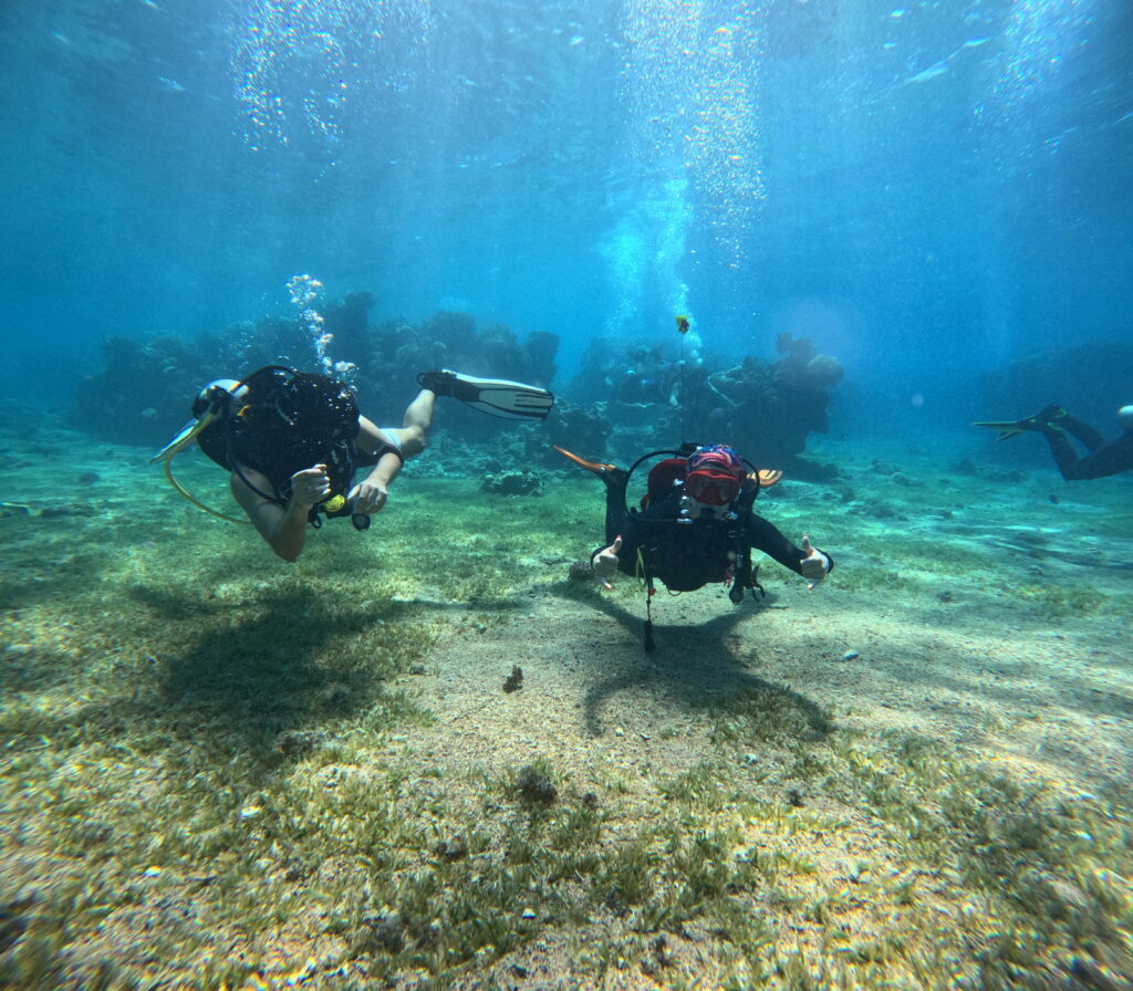 PADI Open Water Diver Course in Aqaba