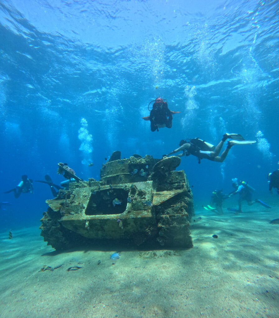 beginner scuba diving aqaba, PADI Open Water Diver Course in Aqaba