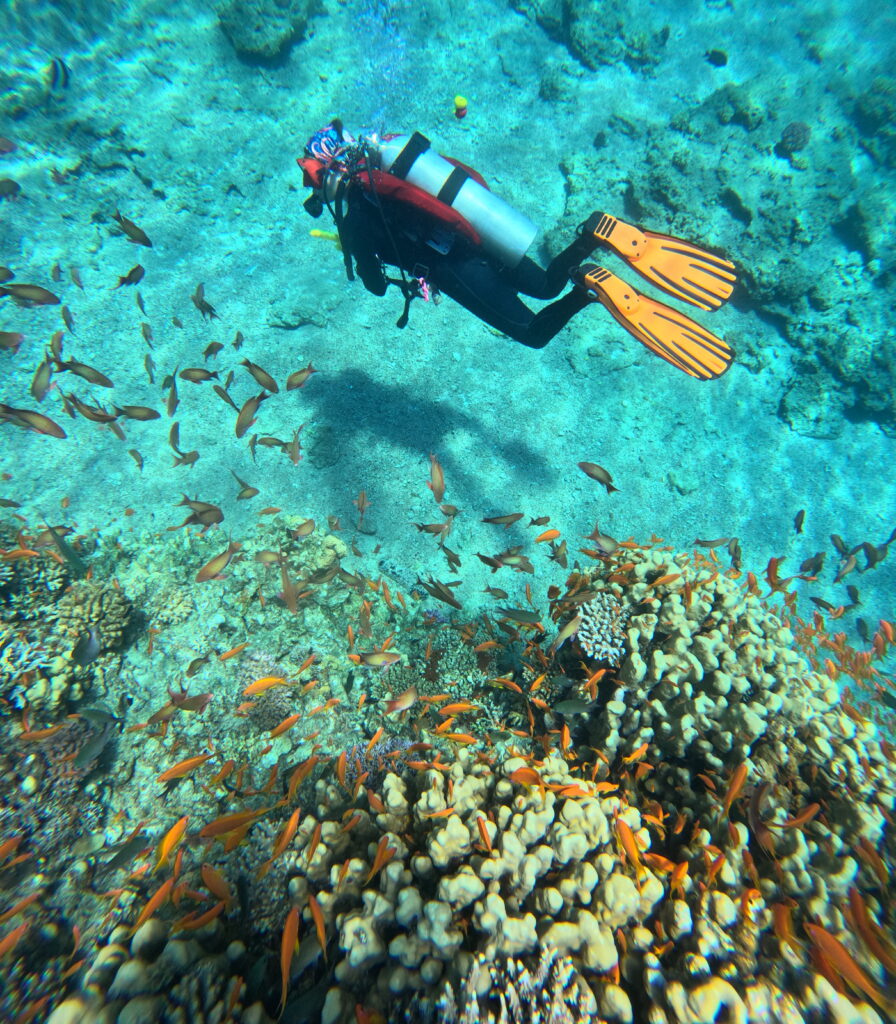 beginner scuba diving aqaba