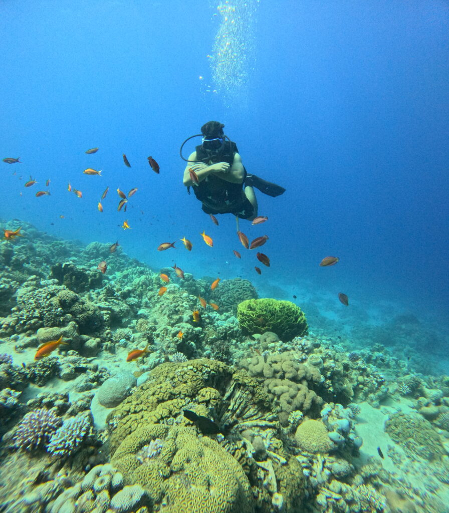 diving in aqaba 2026