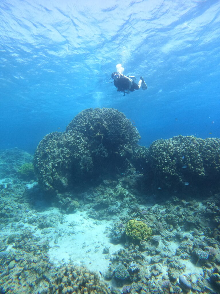 Diving in Aqaba in October