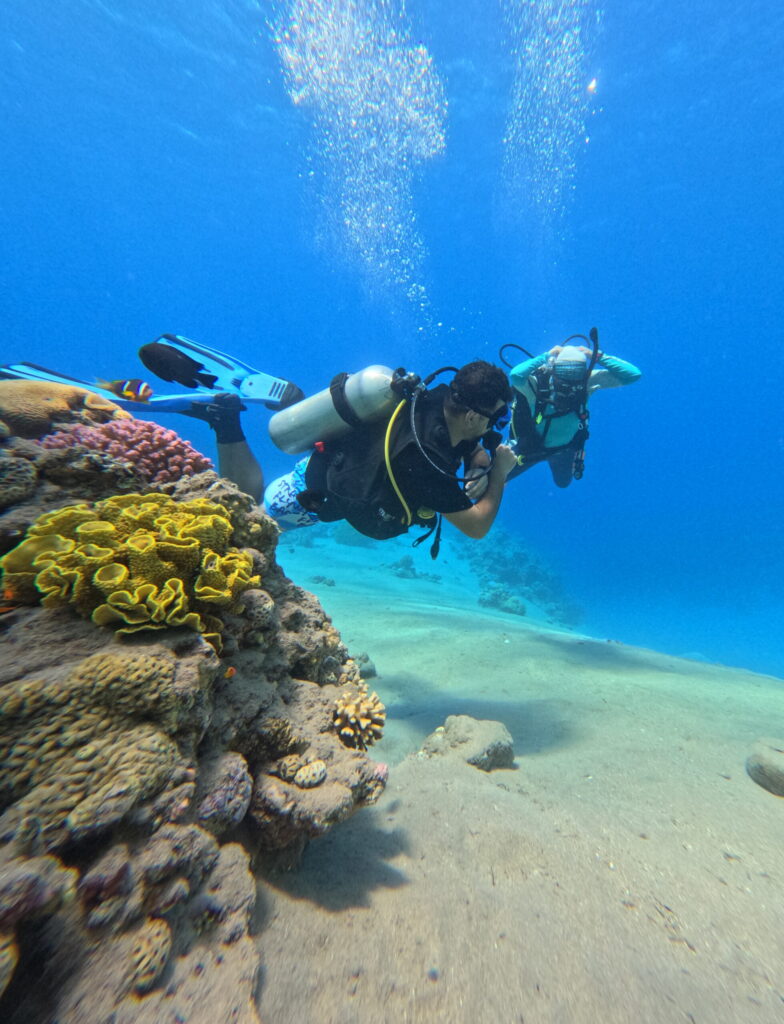 SPECIALTY COURSES IN AQABA