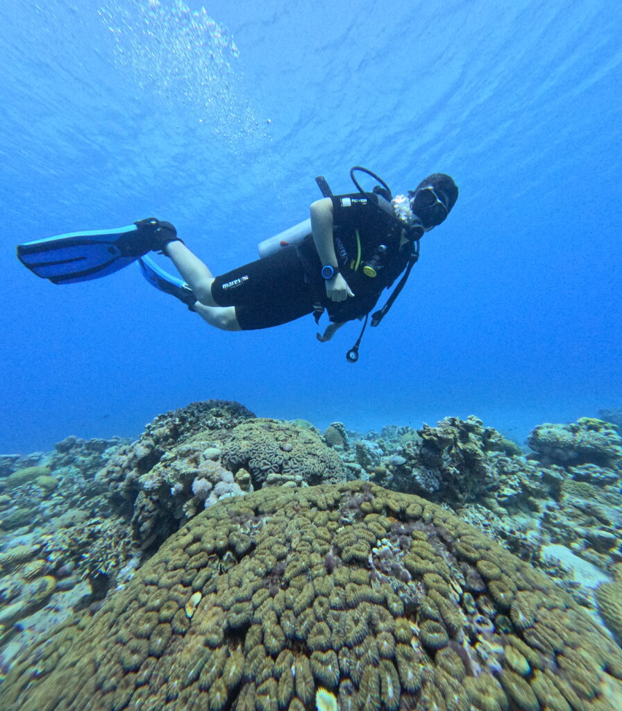 Discover Scuba Diving in Aqaba